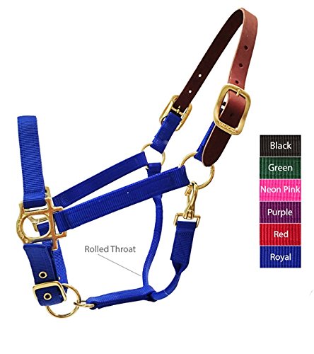 Breakaway Halter for Horses - Heavy Duty 500-800 LB Capacity - Perfect for Training, Grooming & Pasture Safety