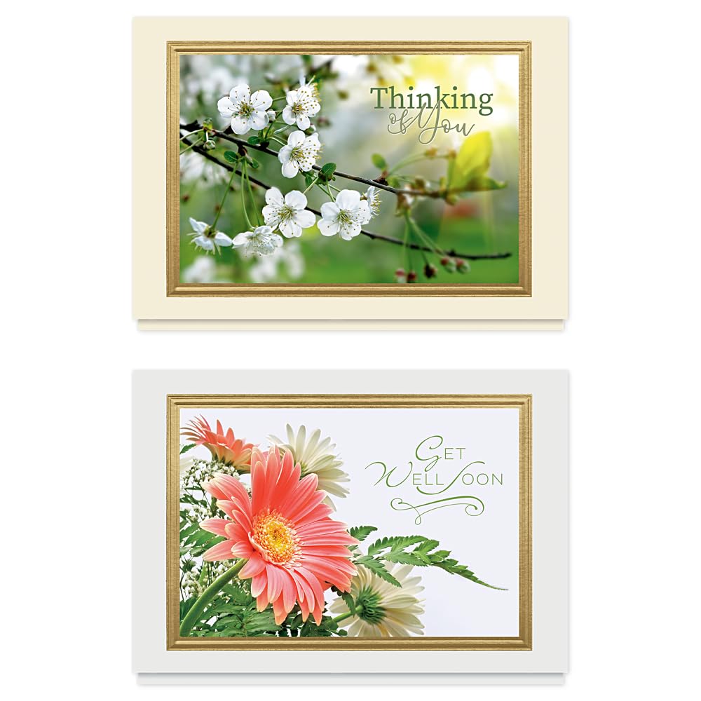 Get Well Soon Cards Assortment Box - 35 Premium Greeting Cards with Foil & Embossing Designs | Sympathy & Recovery Cards for Hospital Patients, Friends & Family | Perfect for Care Packages, Nursing Homes & Thoughtful Gifts
