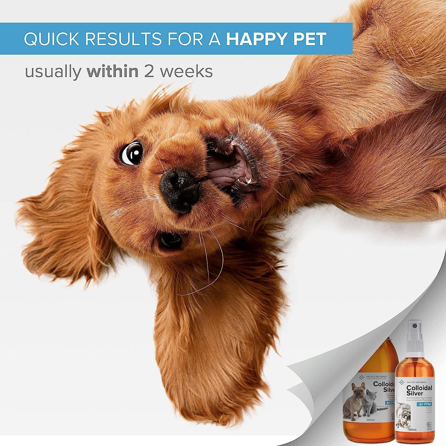 **Colloidal Silver Antiseptic Spray for Dogs & Cats – Natural Antibiotic Treatment for Skin Issues (Itchy, Allergy, Hotspot, Yeast, Dry) – Wound Care for Ear & Eye Infections – 100% Organic Pet First Aid Solution – Perfect for Daily Grooming & Post-Surgery Recovery**