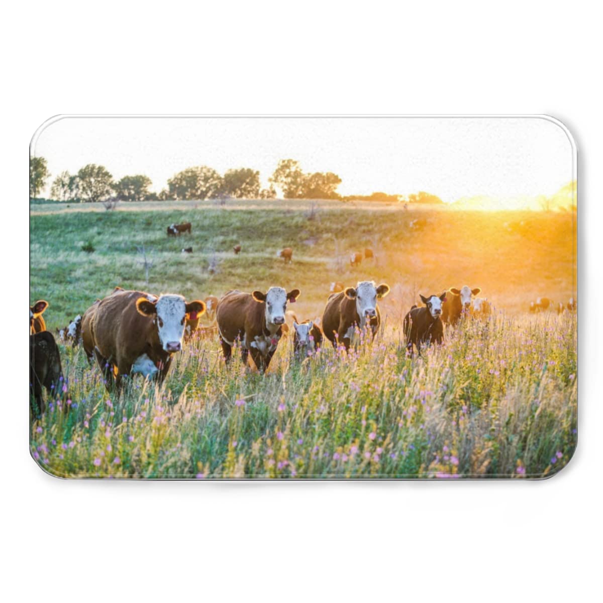 Non-Slip Flannel Mat - 20x32 Inch Soft Absorbent Kitchen & Bathroom Rug - Durable Farmhouse Cow Print Design for Living Room, Bedroom - Perfect for Countryside, Midwest Homes and Farmhouse Decor