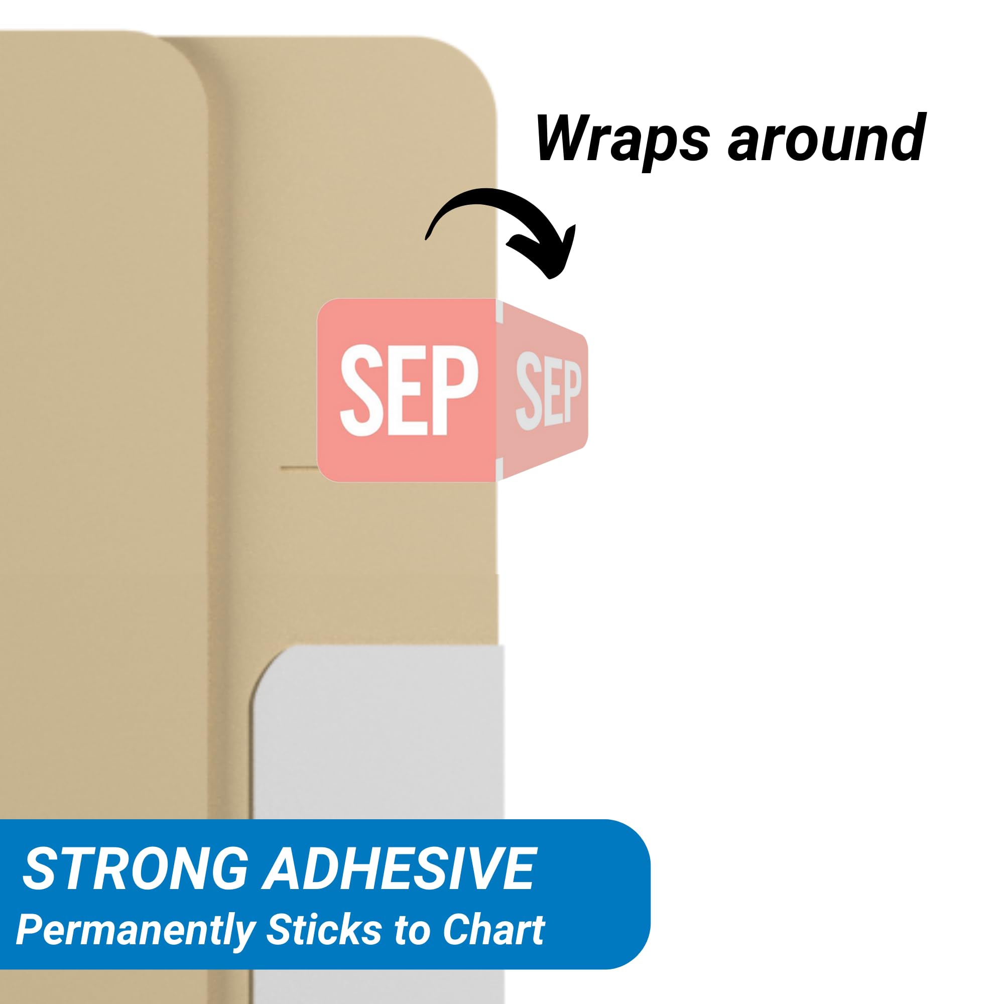 Doctor Stuff - File Folder Month Labels, September, Tab Products - TMLV Series Stickers, Pink, 1/2