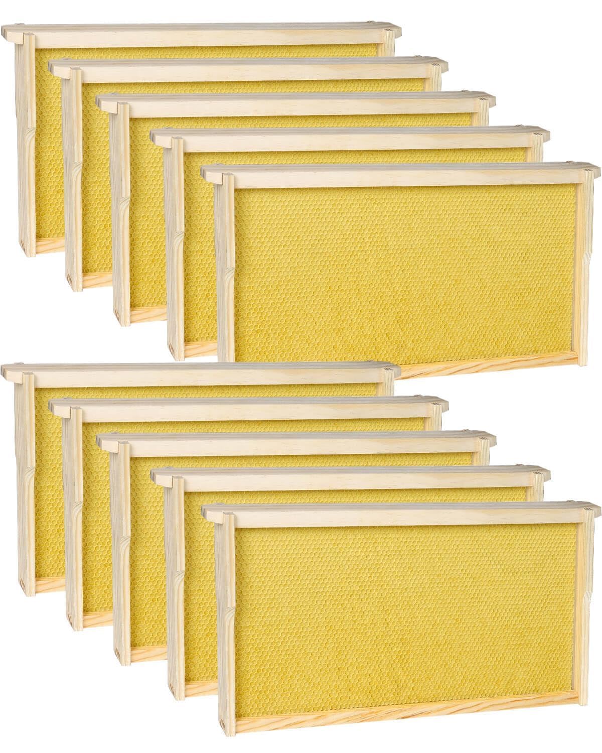 Vensovo 10 Pack Deep Bee Hive Frames with Wax Foundation - Premium Yellow Beehive Frames for Honey Production & Beekeeping Supplies (Ideal for Backyard Beekeepers & Commercial Apiaries)