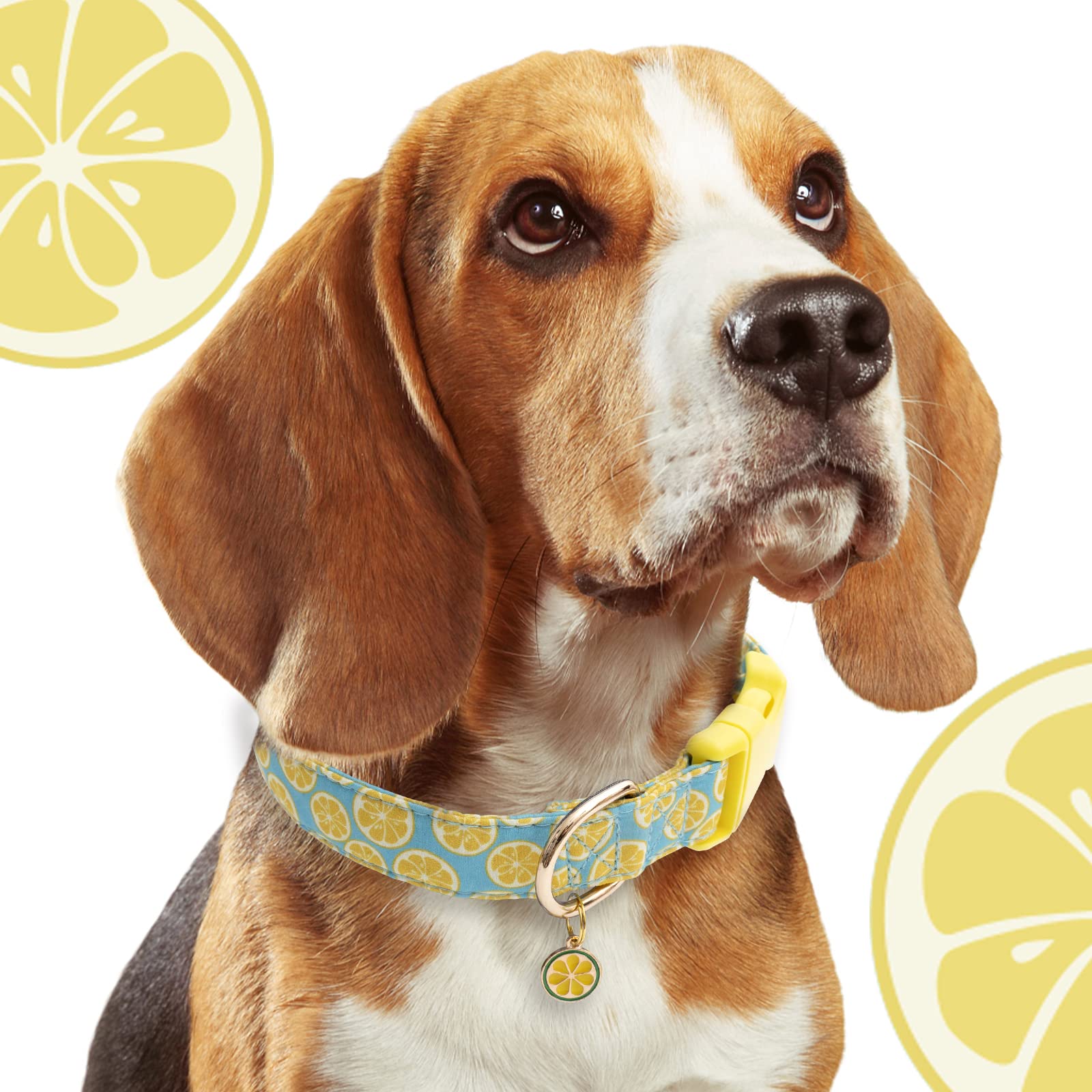Faygarsle Cute Lemon Design Dog Collar - Soft & Stylish Pet Collar for Small Medium Large Dogs - Yellow Green Summer Dog Accessory for Girls & Boys - Perfect for Daily Walks, Outdoor Adventures & Pet Photos