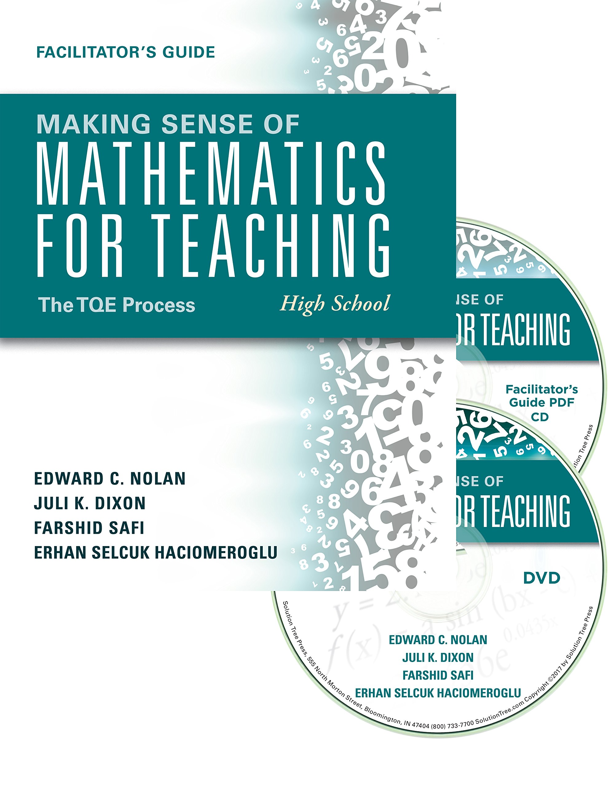 TQE Process Facilitator's Guide for High School Mathematics Teaching - Empower Students to Solve Math Problems Independently | Ideal for Classroom Instruction & Self-Study