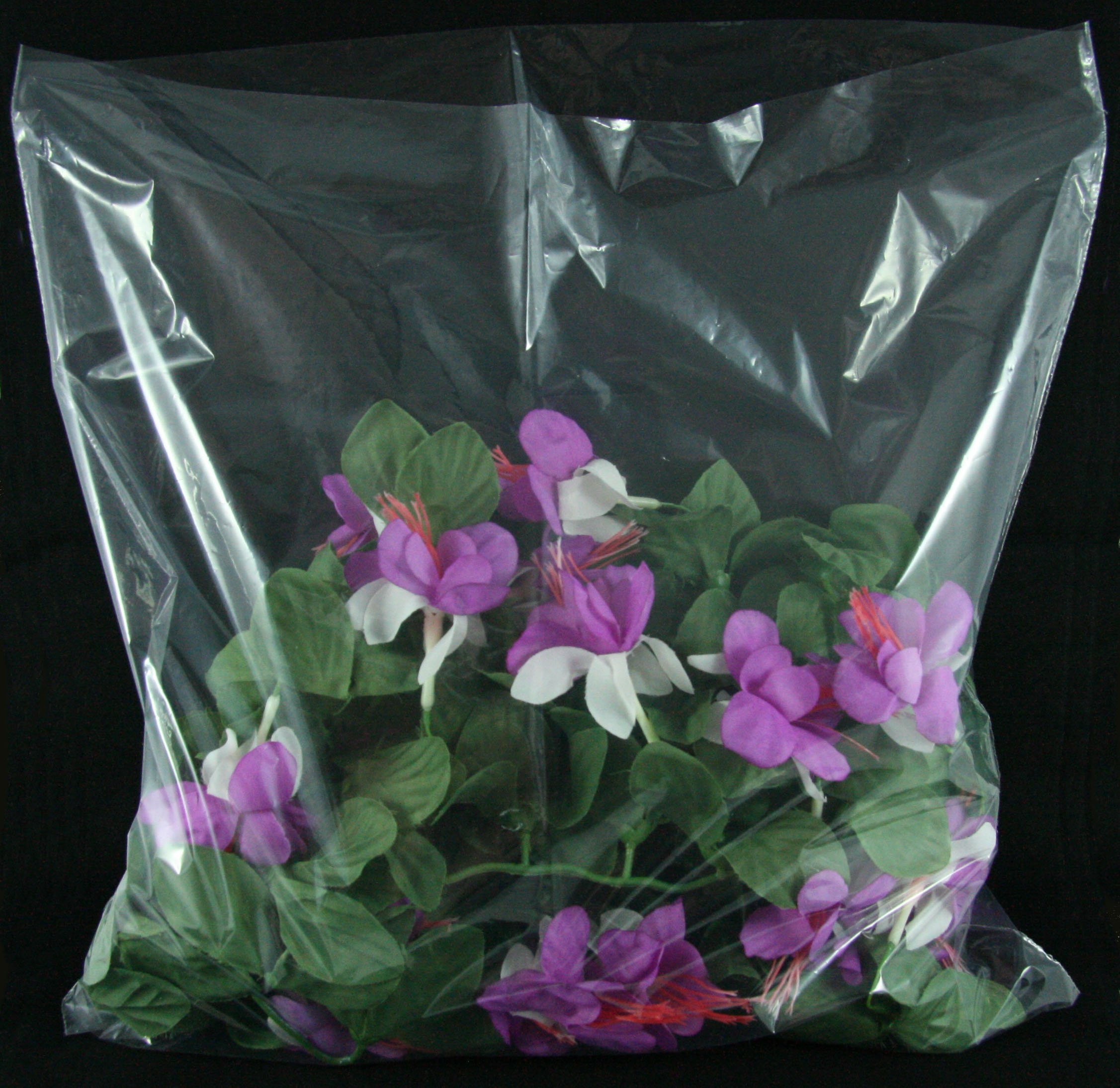 100 Count Clear Poly Bags 10