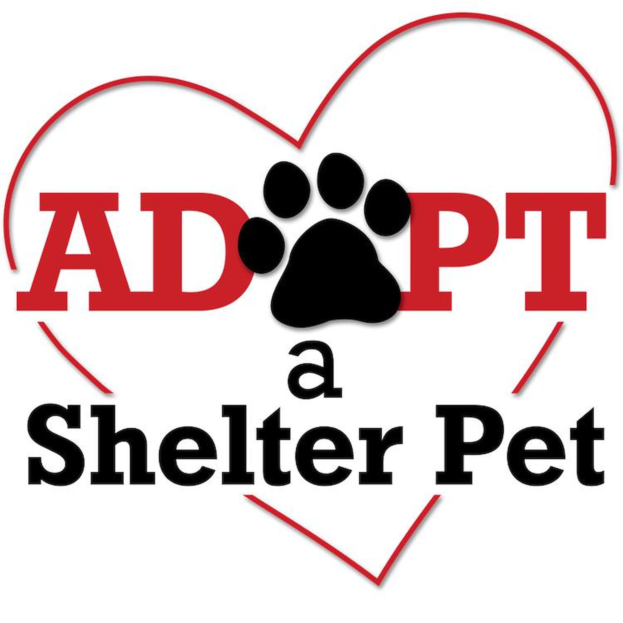Adopt A Shelter Pet 3x3 Inch Square Car Magnet - Strong Magnetic Bumper Sticker for Animal Lovers - Perfect for Cars, Trucks & Metal Surfaces to Show Pet Adoption Support