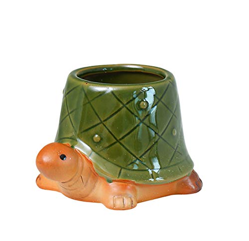 Tortoise