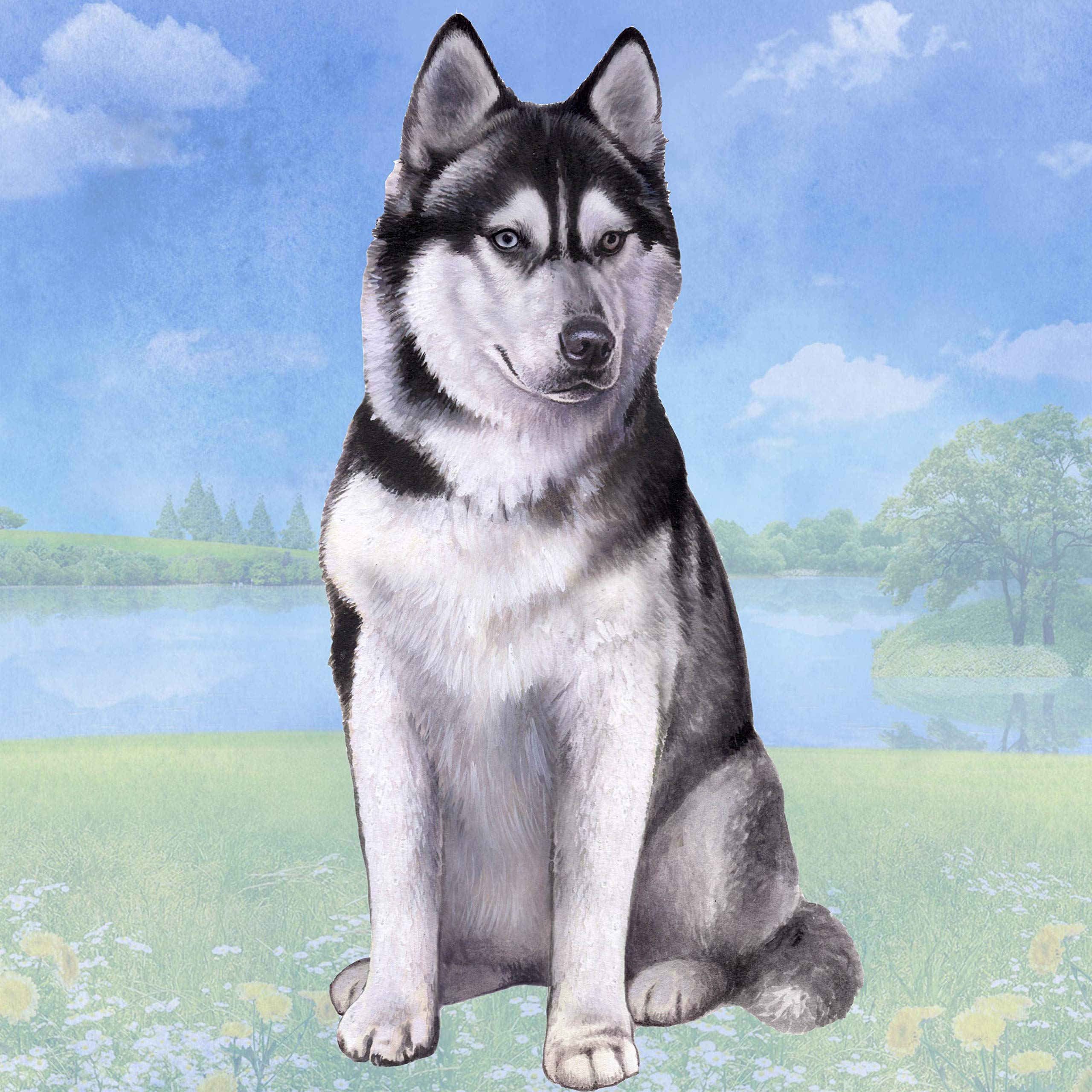 Siberian Husky Absorbent Stone Coaster Set - Cork Back Protects Furniture from Scratches & Water Rings - Perfect for Coffee Tables, Dining Tables, and Home Decor