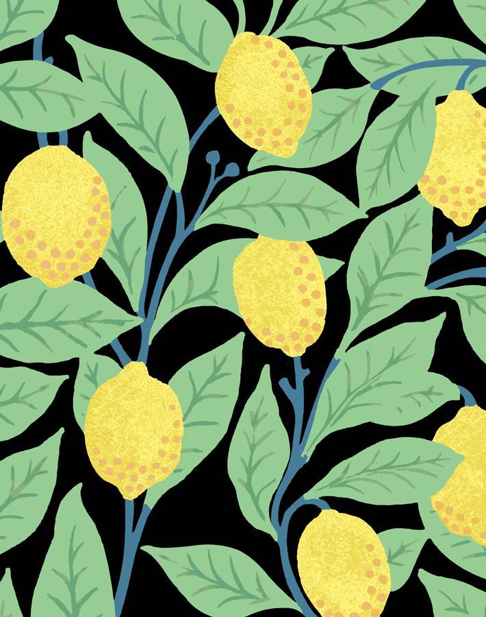 Nathan Turner Onyx Lemons Wallpaper - Peel & Stick Removable Wallpaper for Kitchen, Bathroom, and Home Decor