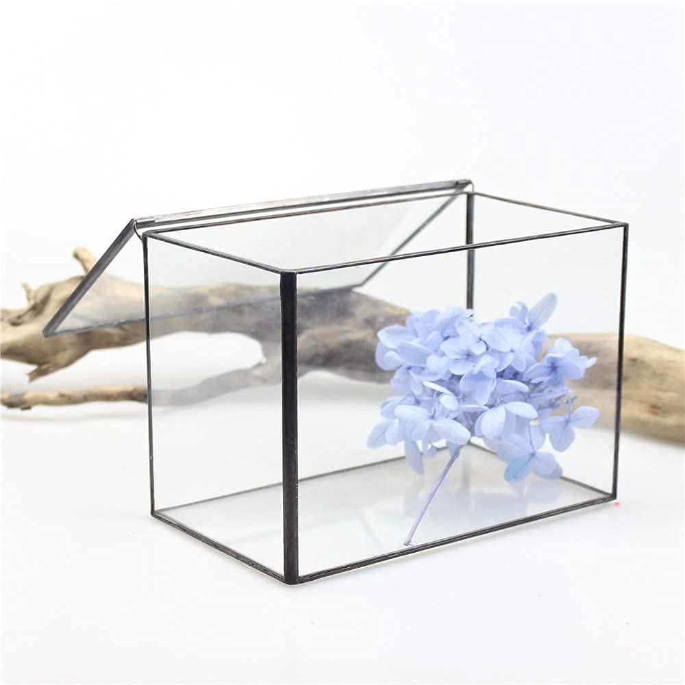 Black Glass Geometric Terrarium with Lid - 6.7