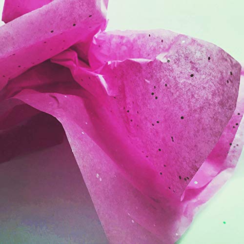 Silver Glitter on Cerise