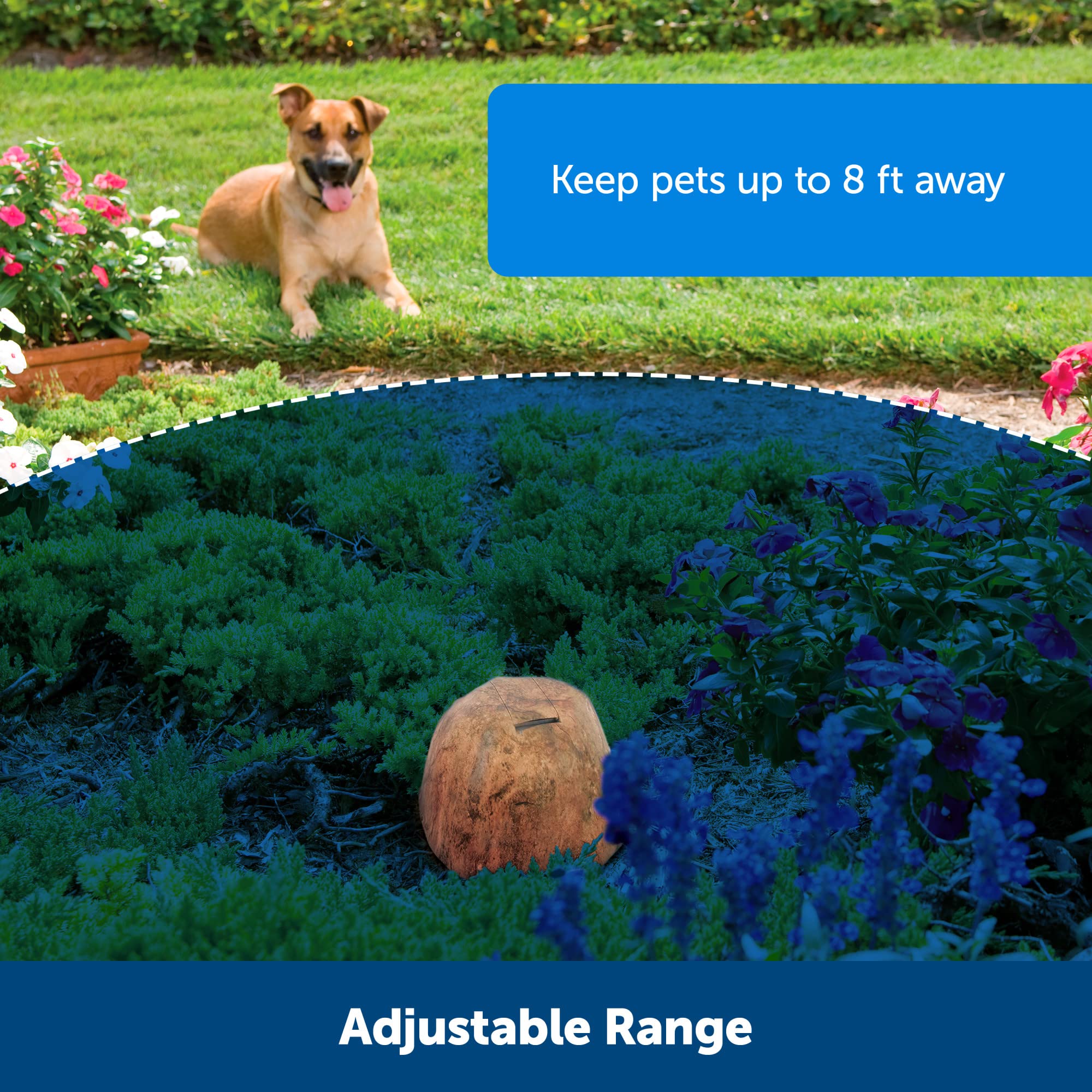PetSafe Pawz Away Outdoor Wireless Pet Barrier - Electric Training System for Cats & Dogs with Adjustable Receiver Collar | Keep Pets Safe in Yards, Gardens & Driveways