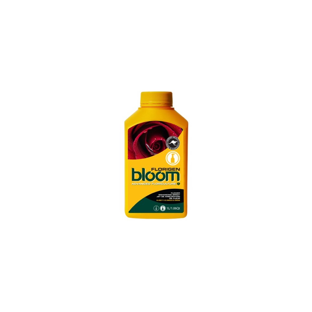 Florigen Bloom Yellow Bottles - Premium Glass Vases for Home Decor, Wedding Centerpieces & Floral Arrangements