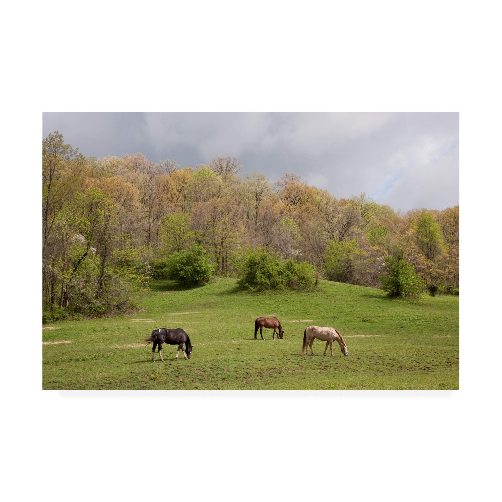 Monte Nagler Horses in The Field West Virginia Fine Art Print - 16x24 Wall Decor for Living Room, Bedroom & Office - Landscape Painting for Home & Office Decoration