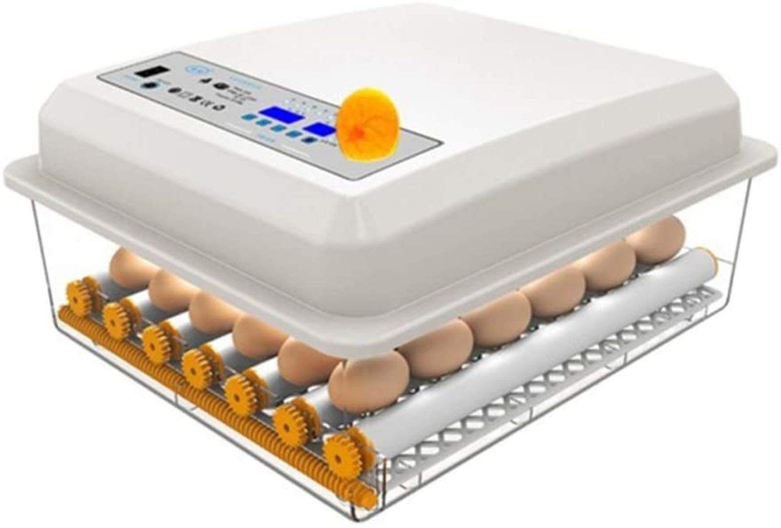 AJLDN 9-Egg Automatic Egg Incubator with Digital Temperature Control & Auto Turner - Poultry Hatcher for Chicken, Turkey, Goose, Quail Eggs - Perfect for Home Farming, Classroom Projects & Backyard Poultry Breeding