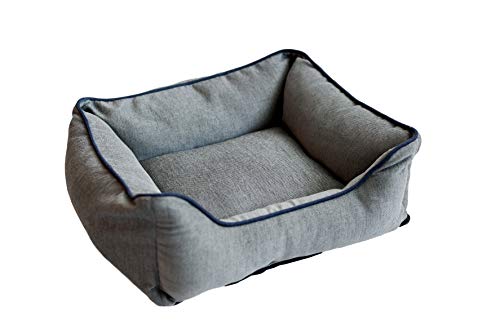 Grey w/Blue Trim