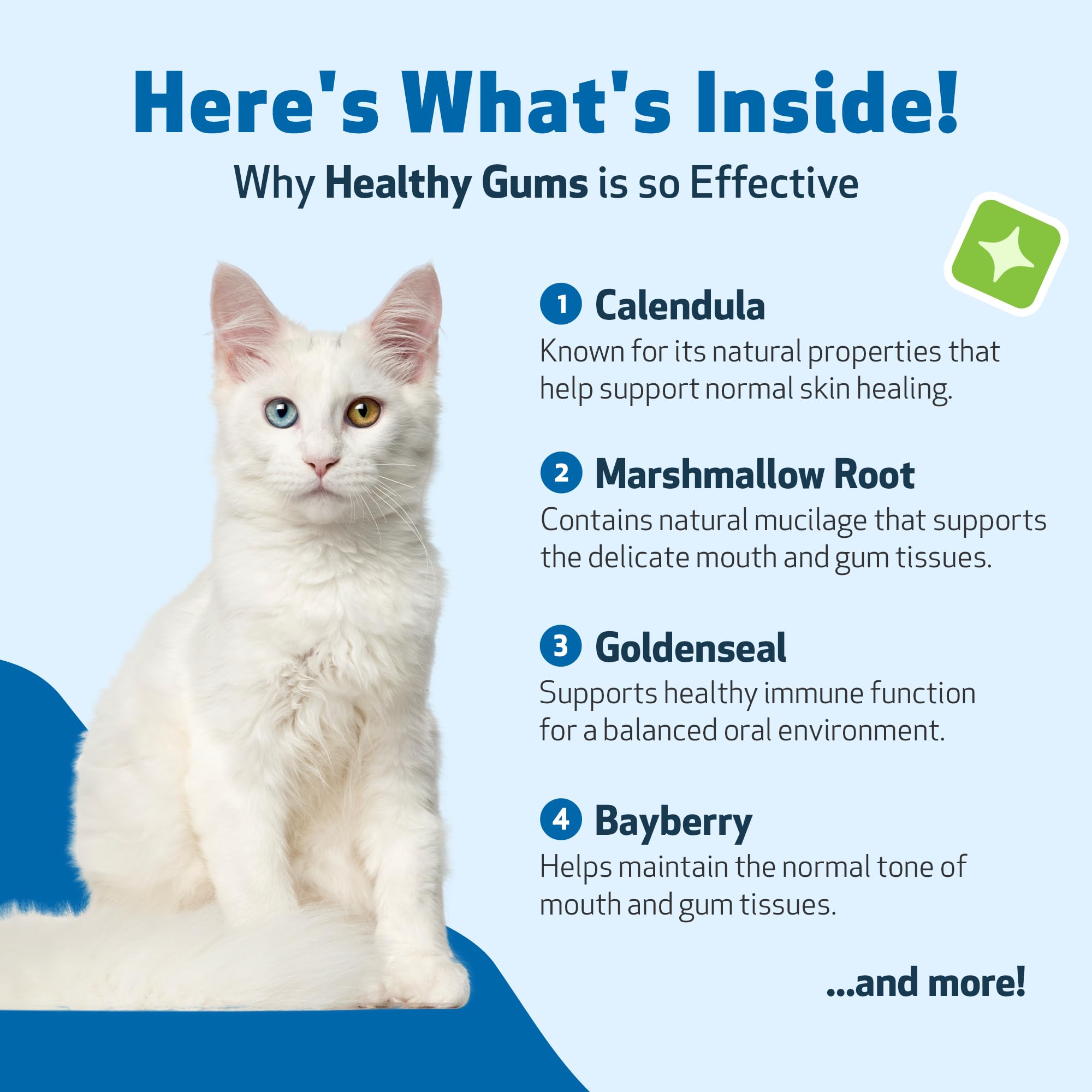 Pet Wellbeing Healthy Gums for Cats - Natural Oral Care Supplement for Feline Dental Health, Fresh Breath & Gum Support - 2oz (59ml) - Promotes Dental Hygiene & Prevents Tartar Buildup for Indoor/Outdoor Cats