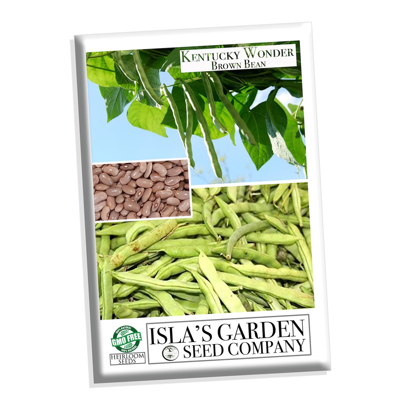 Kentucky Wonder Pole Bean Seeds for Planting - 25+ Heirloom, Non-GMO Brown Beans (Phaseolus vulgaris) by Isla's Garden Seeds | Perfect for Home Gardening, Vertical Trellis & Organic Vegetable Gardens