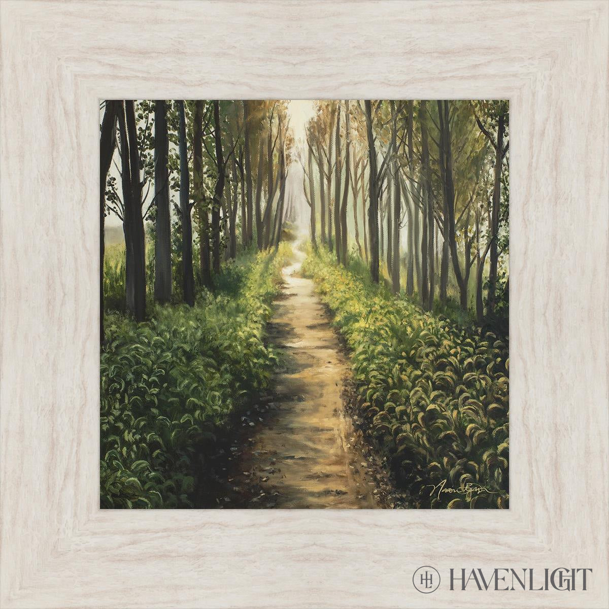 Forest Walkway - Beautiful Wooden Pathway for Gardens, Parks & Trails | Perfect for Outdoor Decor & Nature Walks