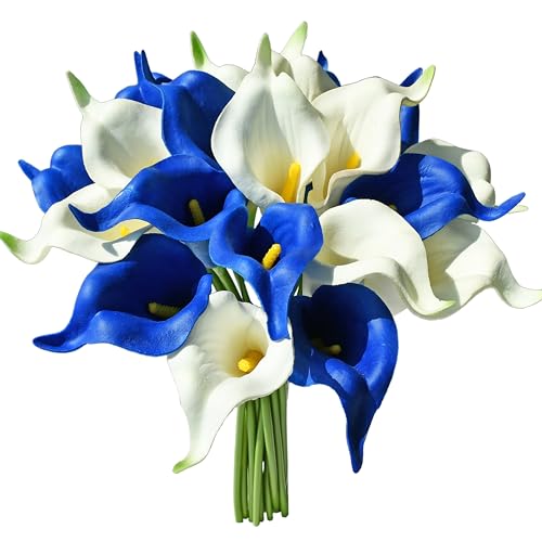 Blue and White