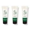 Eucalyptus Spearmint