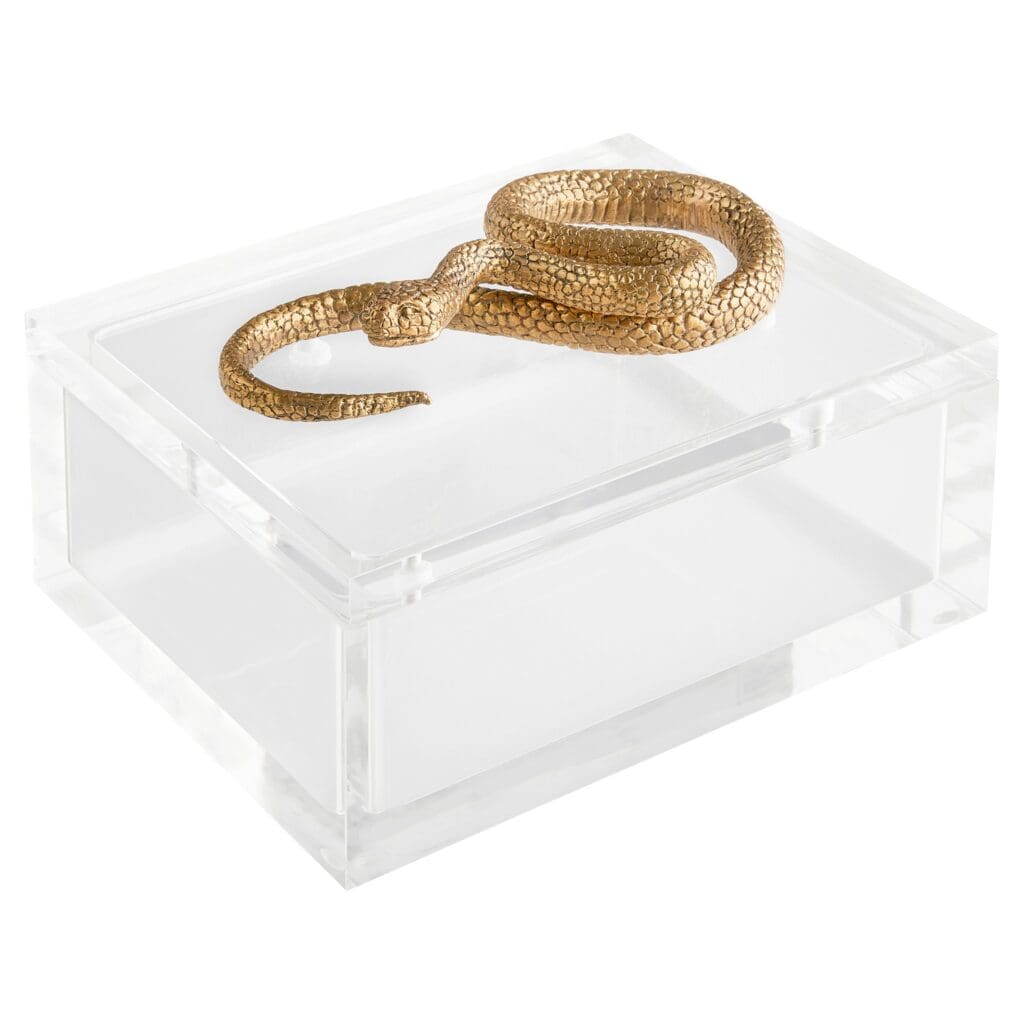 Cyan Design 11763 Clear and Brass Snake Jewelry Box - Perfect for Storing Rings, Necklaces & Small Treasures in Bedroom or Bathroom