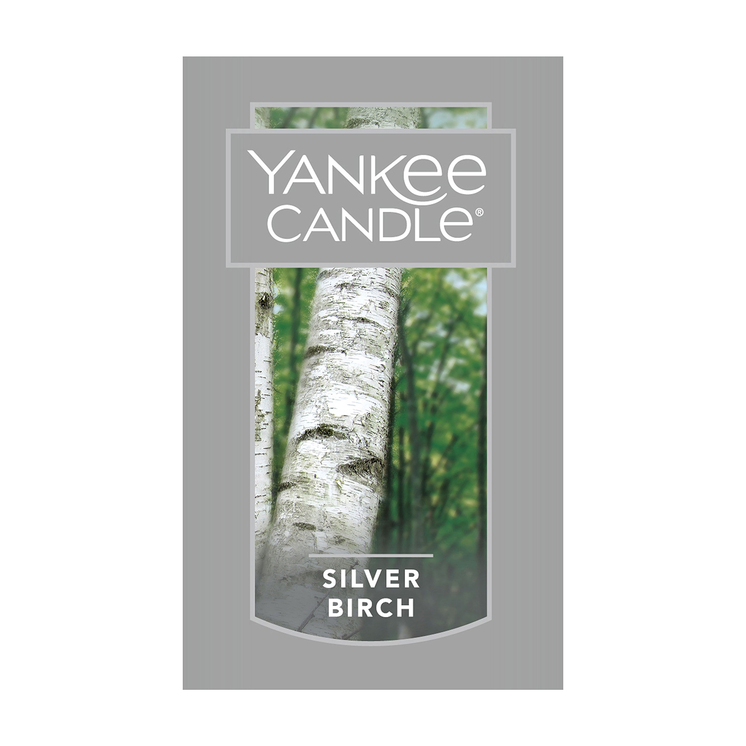 Yankee Candle Silver Birch & Midsummer's Night Large Jar Candle Set - 22oz Each | Home Fragrance, Relaxation & Romantic Ambiance for Living Room, Bedroom & Bathroom