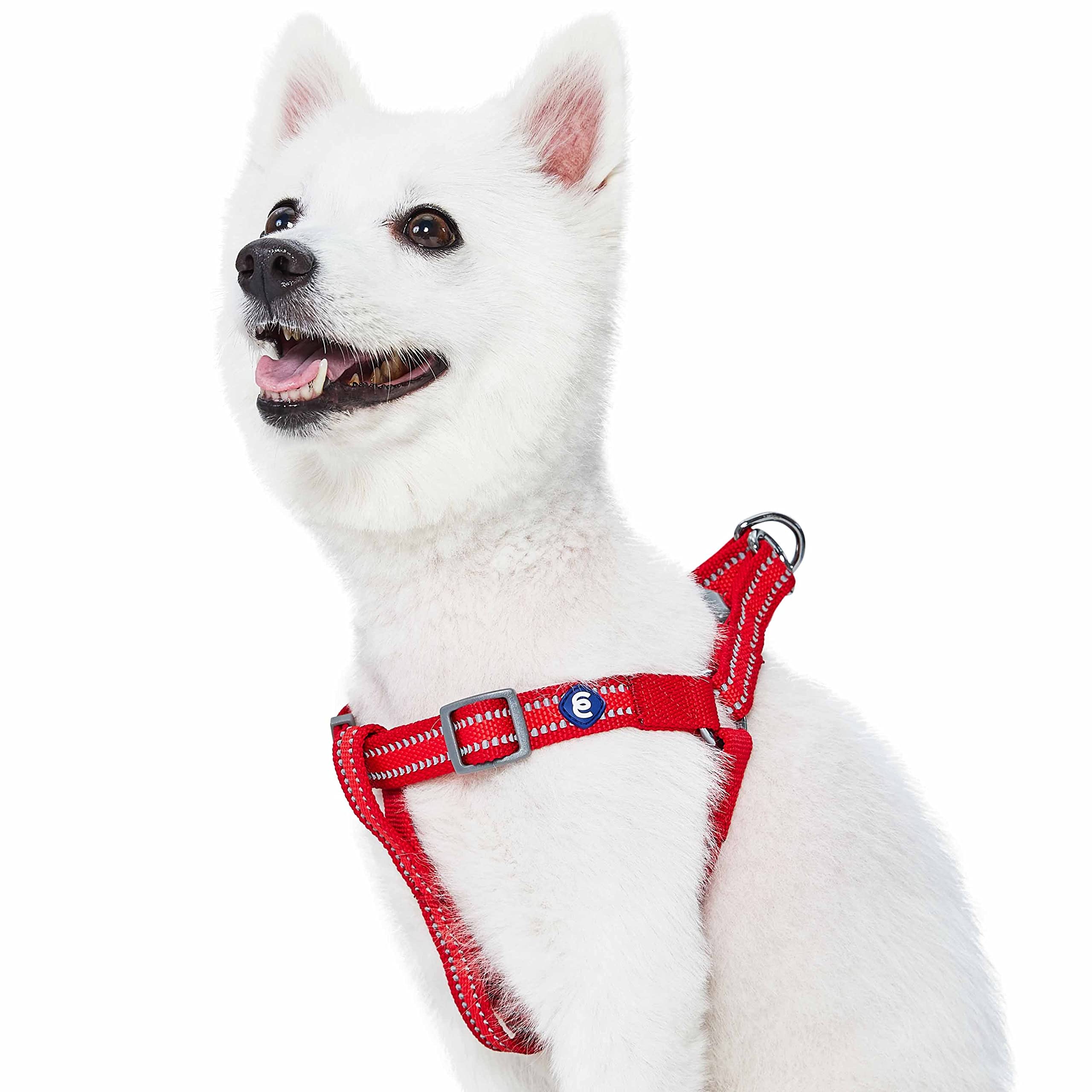 Blueberry Pet Essentials Step-in Reflective Dog Harness - Adjustable Small Dog Vest (16.5
