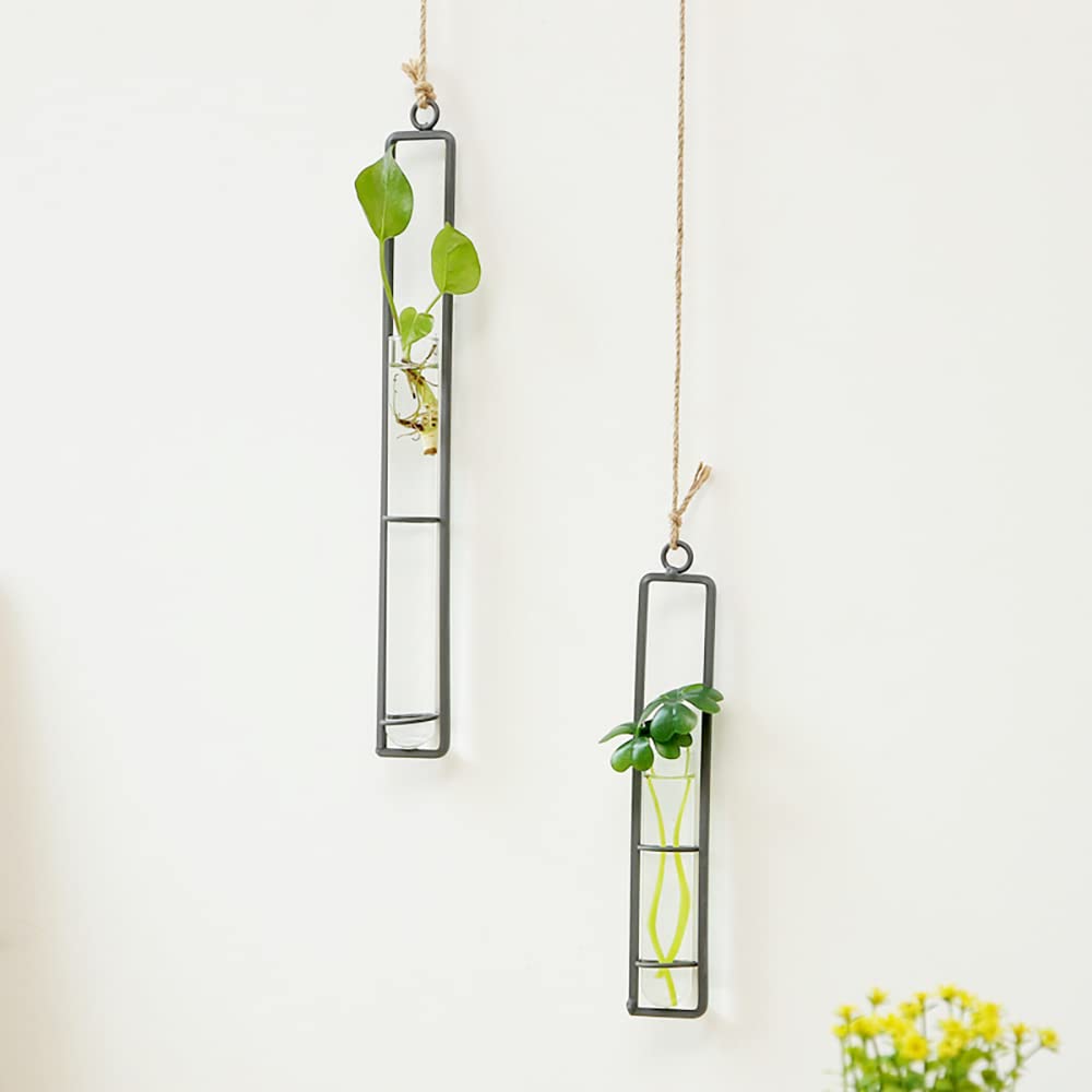 URMONA Hanging Glass Vases for Wall - 2/3 PCS Glass Planters with Test Tubes, Wall Mounted Flower Vases for Home Decor - Perfect for Indoor Plants, Succulents, and Fresh Cut Flowers in Living Room, Bedroom, or Office