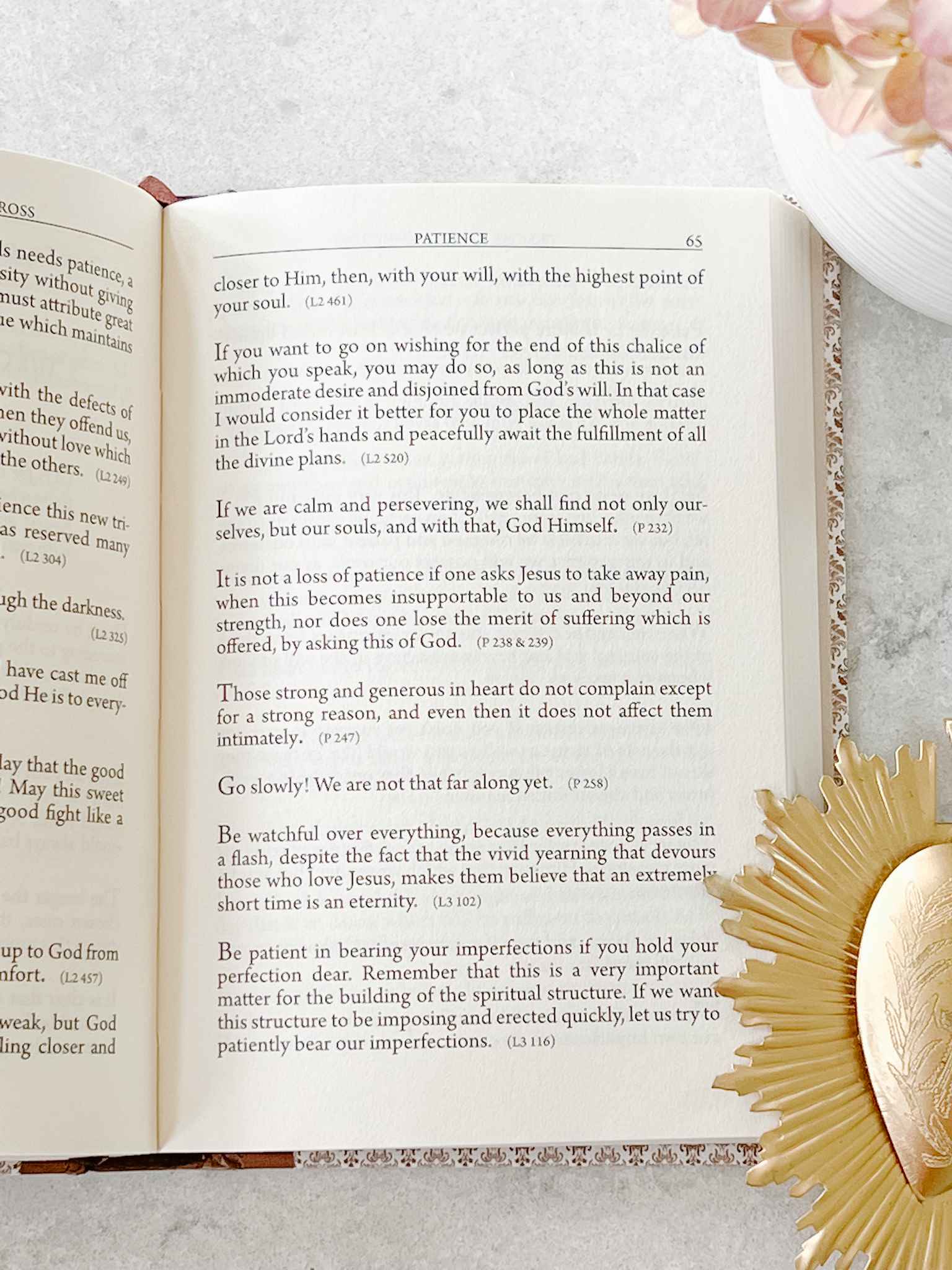 Inspiring Spiritual Life Quotes by St. Padre Pio of Pietrelcina - Daily Devotion, Prayer & Meditation Guide for Catholics