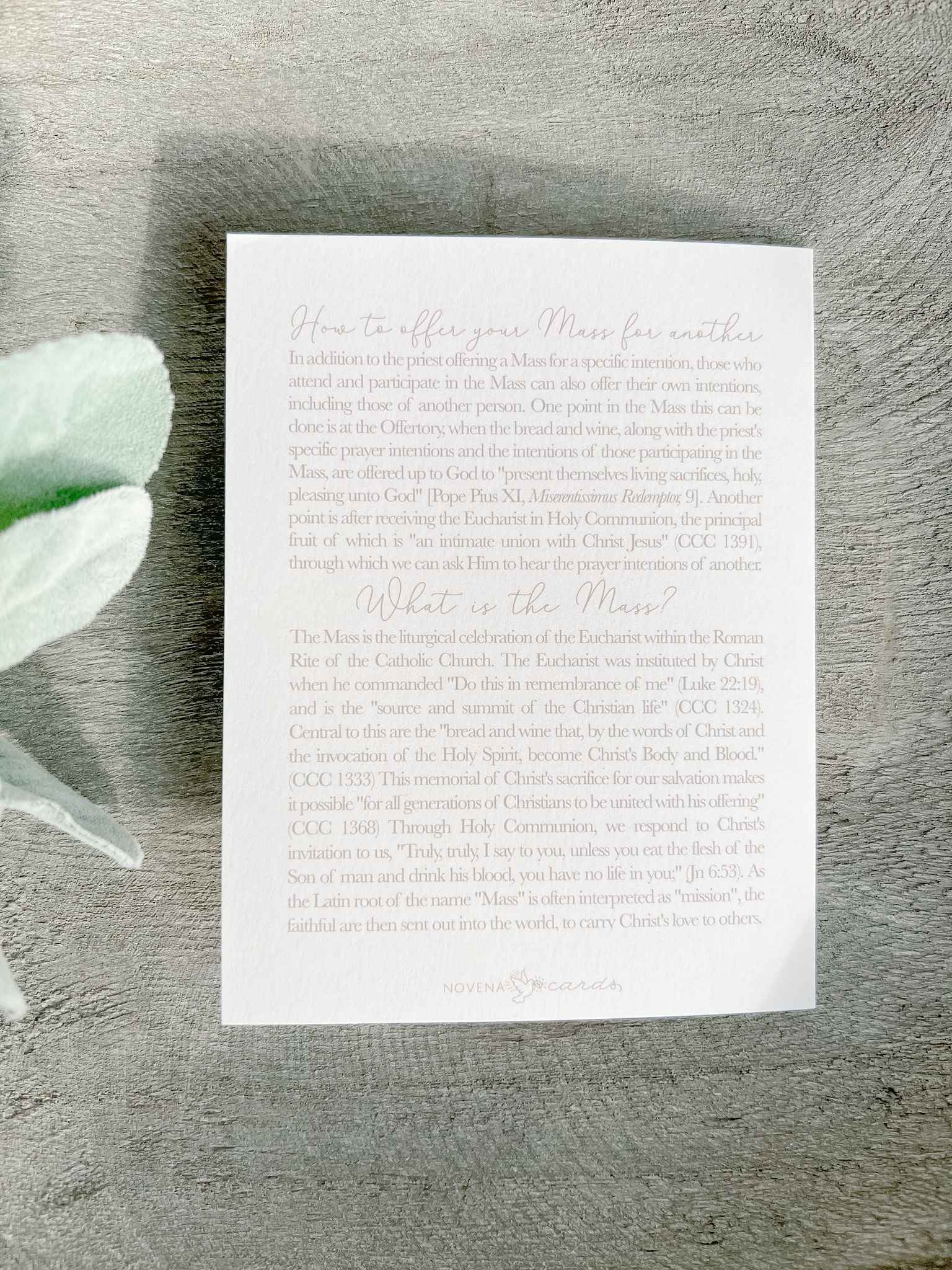 I Prayed For You at Mass Card - Set of 4 Religious Greeting Cards for Catholic Prayer & Encouragement - Perfect for Church, Baptism, First Communion & Sympathy Gifts