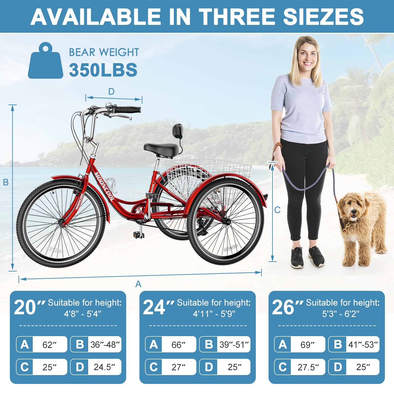 **DoCred Adult Tricycles - 7-Speed 3-Wheel Bikes for Seniors, Women & Men (20/24/26 Inch) with Shopping Basket - Comfortable & Stable Cruiser Trike for Grocery Shopping, Leisure Rides & Outdoor Exercise**