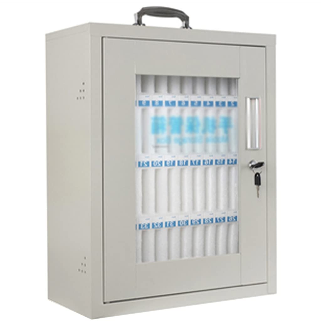 Stainless Steel Wall Mounted Phone Storage Cabinet - 48 Slots Clear Pocket Chart Locker with Safety Lock & Carry Handle | Ideal for Schools, Offices & Retail Stores