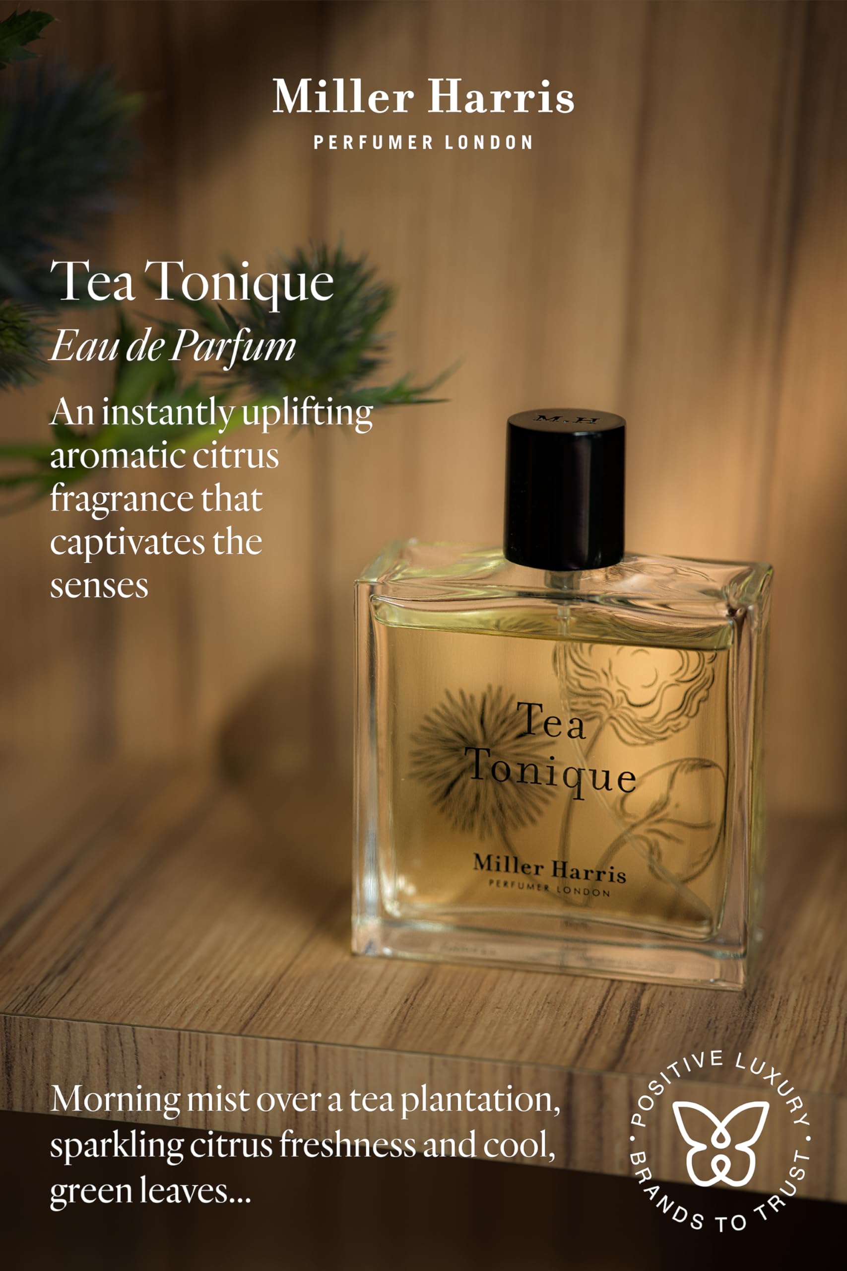 Miller Harris Tea Tonique Eau de Parfum | 3.4 oz Citrus Tea Fragrance for Women - Fresh & Elegant Scent for Daytime Wear, Office & Special Occasions