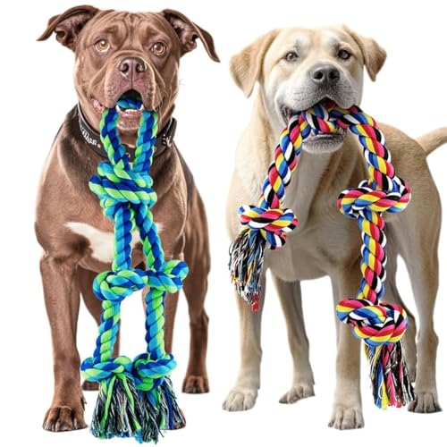 2 Pack-Large
