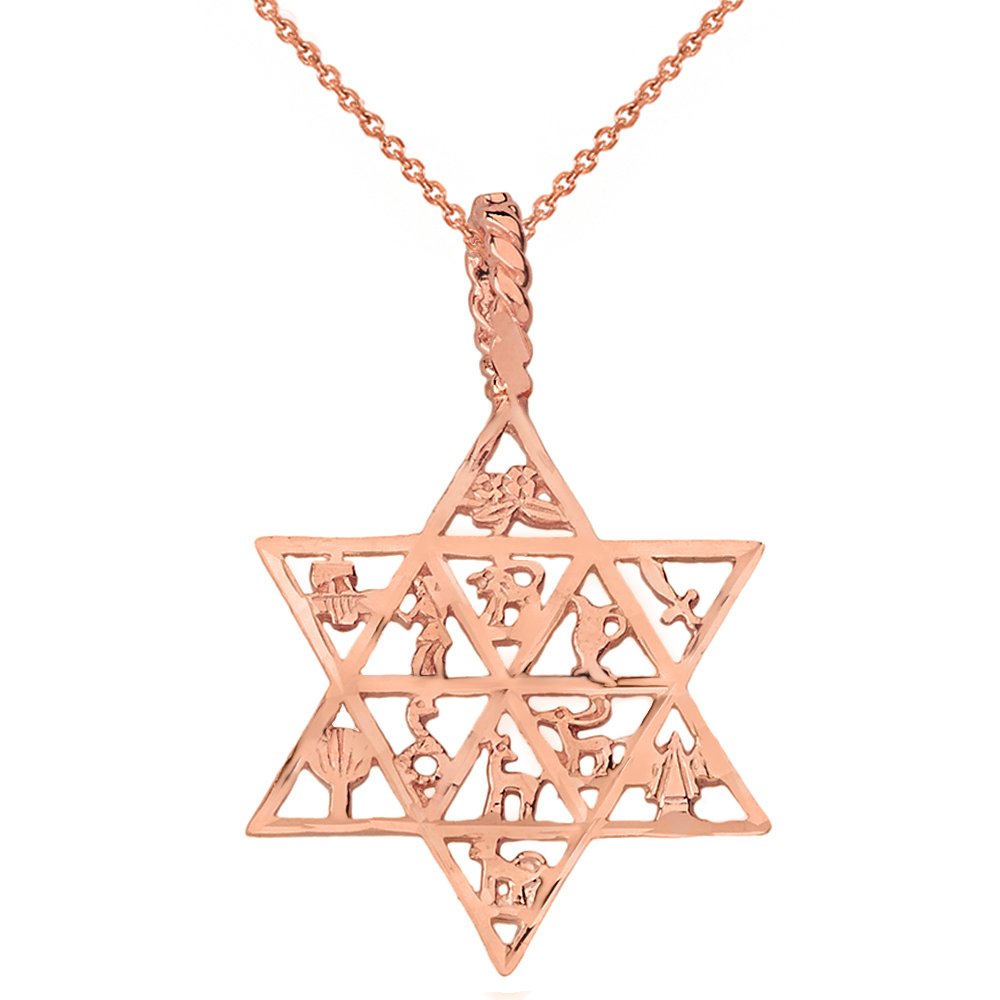 12 Tribes of Israel Star of David Pendant Necklace - Jewish Religious Jewelry for Men & Women - Perfect for Hanukkah Gifts, Bar Mitzvah & Spiritual Protection