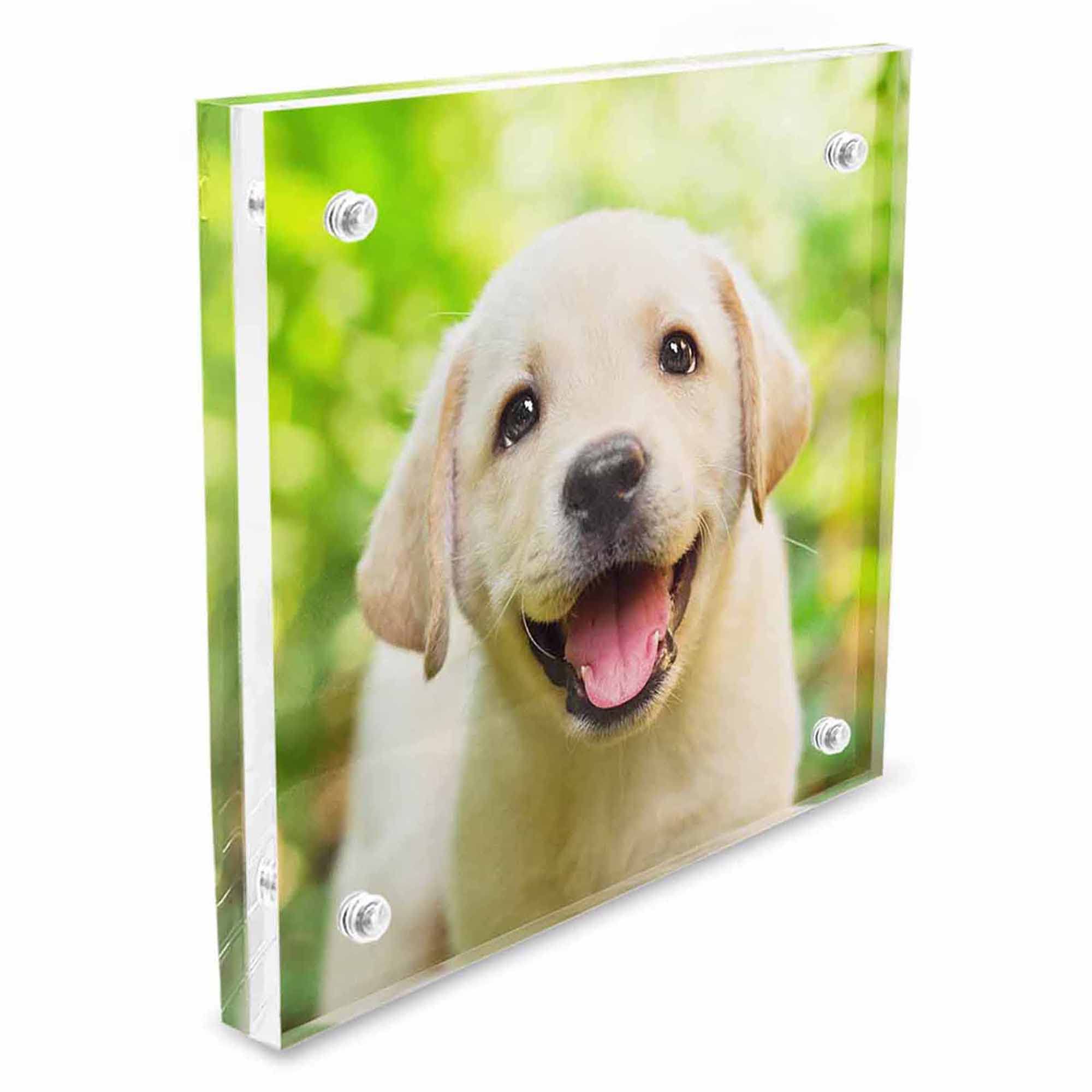 Custom 5x5 Acrylic Photo Frame - Double Sided Magnetic Display for Pets, Gifts