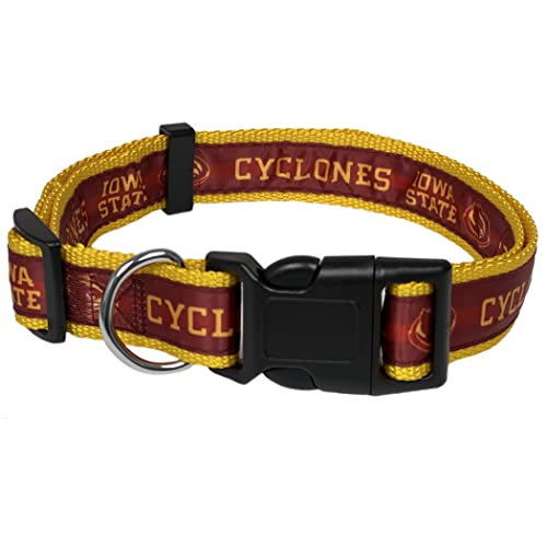 Iowa State Cyclones