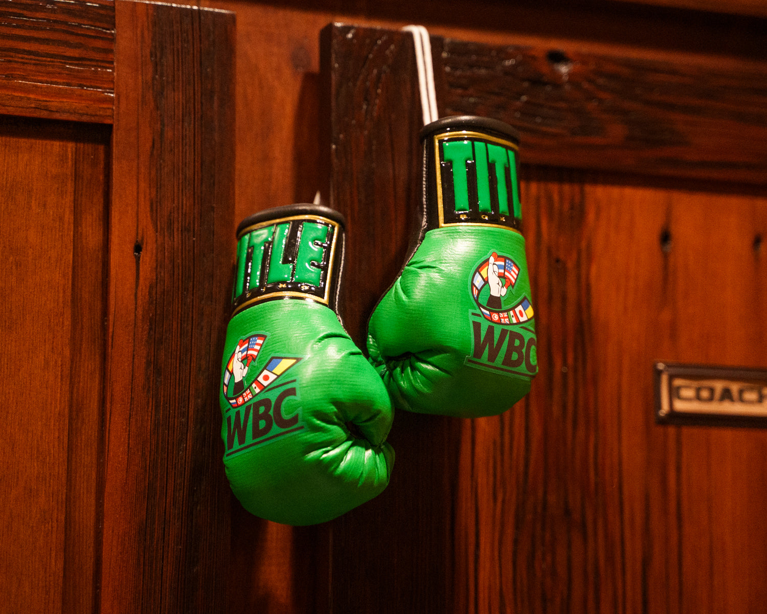 WBC by TITLE Boxing Mini Boxing Gloves for Kids & Adults - Perfect for Training, Fitness, and Home Workouts