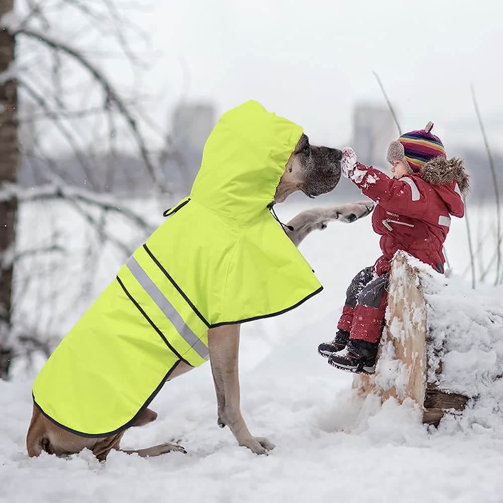 Waterproof Dog Raincoat - Adjustable Lightweight Hooded Rain Poncho for Small to X-Large Dogs & Puppies | Outdoor Walking, Hiking & Rainy Day Protection (Neon Green, Large)