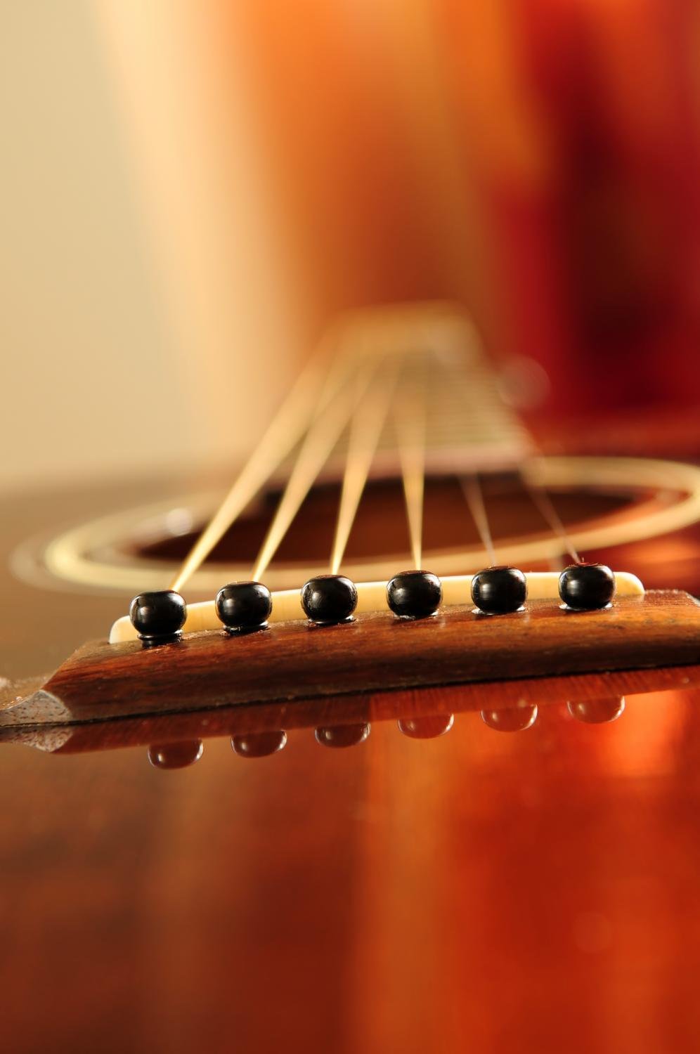 Wallmonkeys Acoustic Guitar Bridge and Strings Close-Up Wall Decal - Peel and Stick Graphic Art (18
