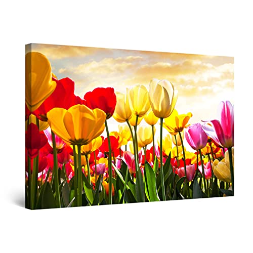 Yellow Tulips Red