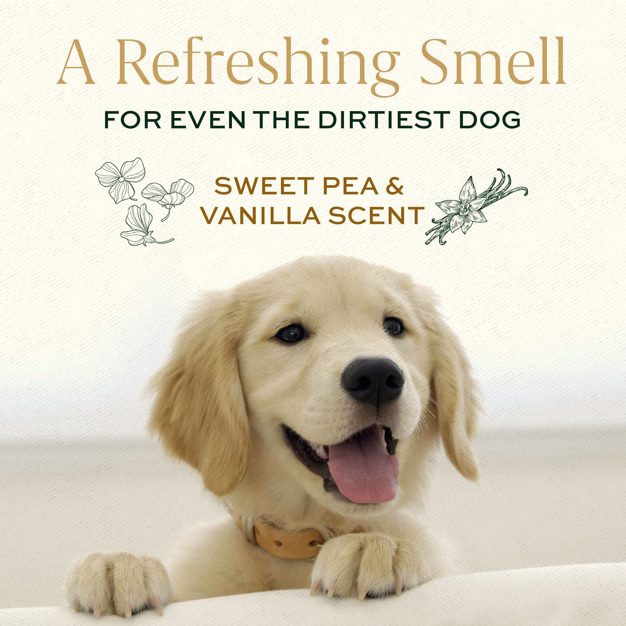 Long-Lasting Sweet Pea & Vanilla Dog Perfume Spray - 8 fl oz Refreshing Pet Cologne for Daily Use, Grooming & Special Occasions