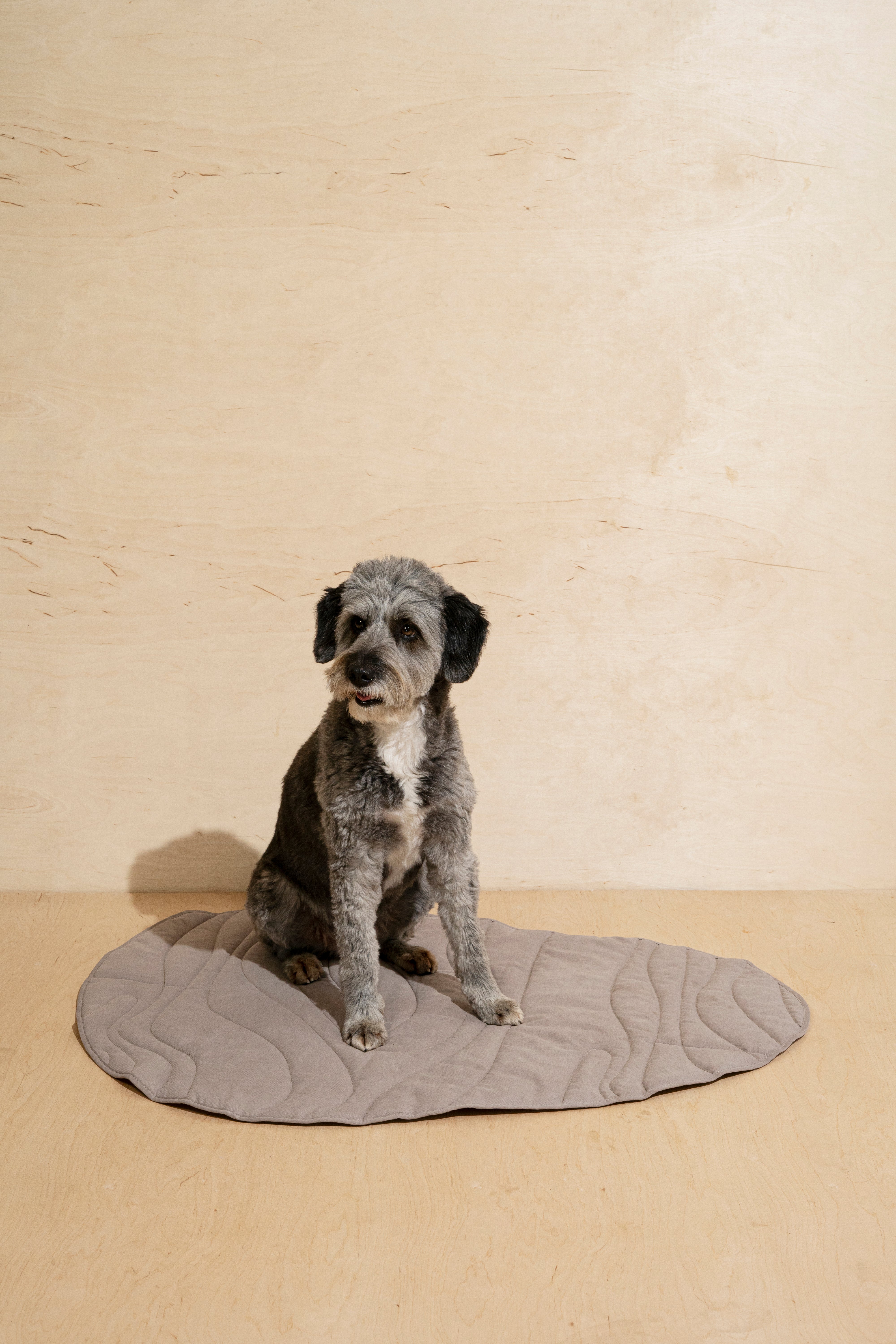 Premium Soft Dog Blanket - Cozy Pony Rollony Pet Blanket for Small & Large Dogs - Perfect for Beds, Couches, and Travel Use