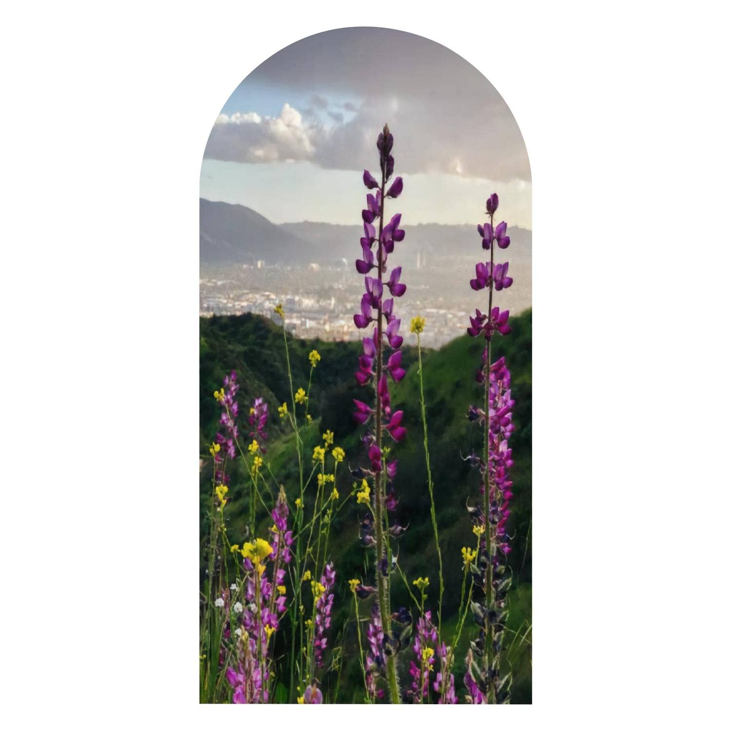 Boho Arch Wall Decal - Removable Peel & Stick Wallpaper with Lupine and Black Mustard Wildflowers Design - 72