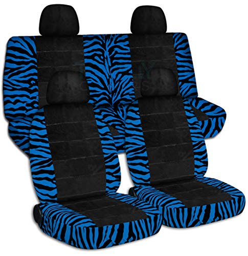 Blue Zebra & Black