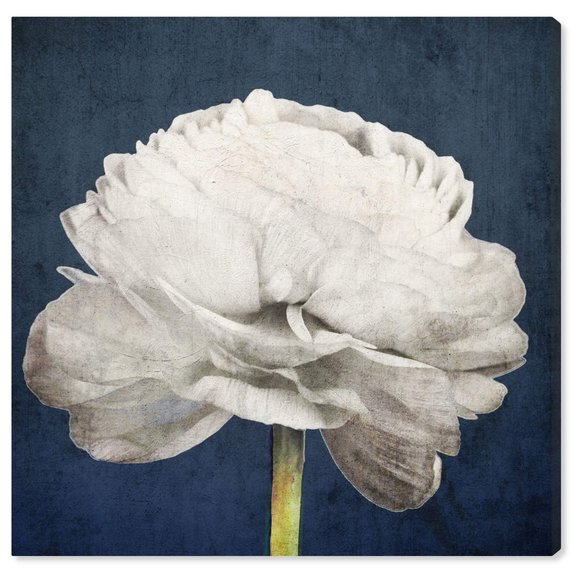 Oliver Gal Floral and Botanical Wall Art Canvas Prints - 'Pretty View' Nature Inspired Home Decor for Living Room, Bedroom & Office