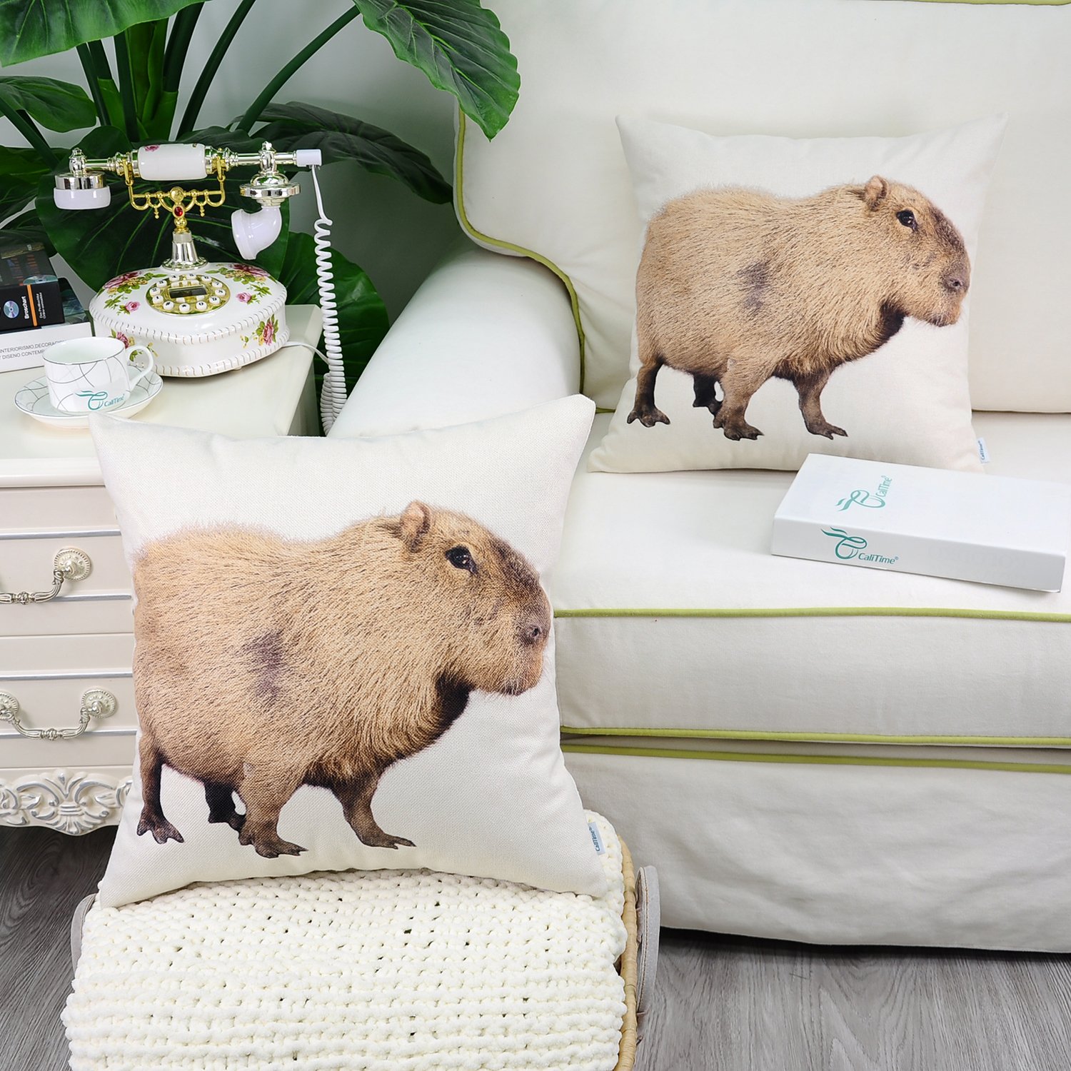 CaliTime 18x18 Inch Capybara Print Canvas Throw Pillow Cover - Decorative Sofa Couch Pillow Case for Living Room, Bedroom Home Decor - Perfect for Cozy Home Styling and Animal Lover Gifts