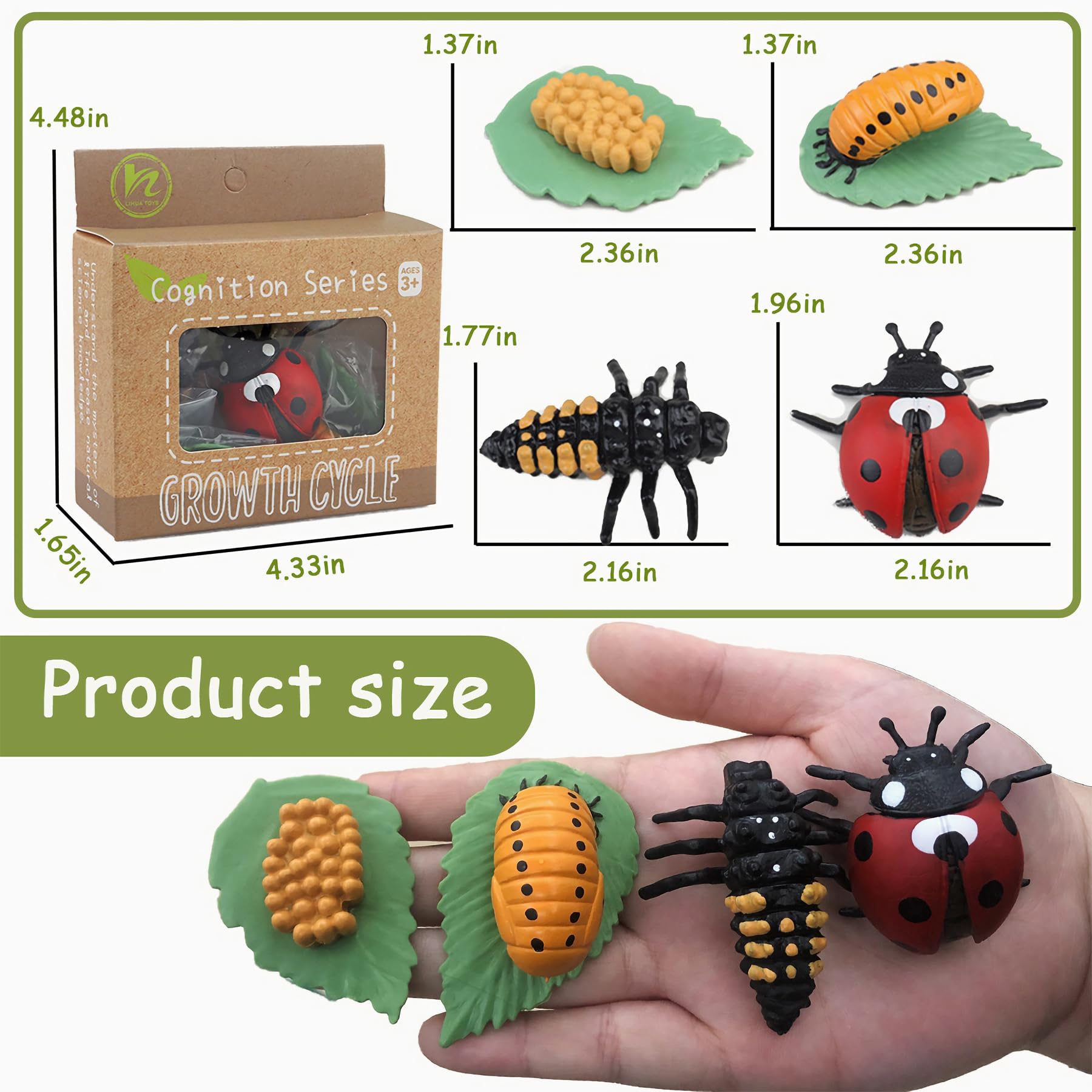 MBrain Life Cycle Learning & Education Toys - Montessori Animal & Plant Figurines Set (Frog, Butterfly, Ladybug) - STEM Educational Gift for Boys & Girls Ages 3-5 - Perfect for Classroom Teaching, Homeschooling & Nature Exploration