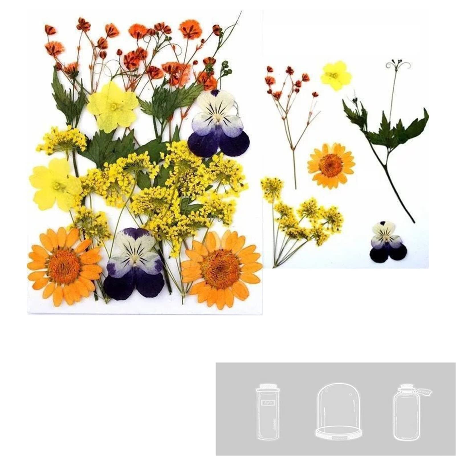 KnjoFly 30PCS Transparent Dried Flower Bookmarks - DIY Glass Bottle Bookmarks with Real Pressed Flowers for Journaling, Scrapbooking & Gift Giving - Perfect for Book Lovers, Students & Crafters